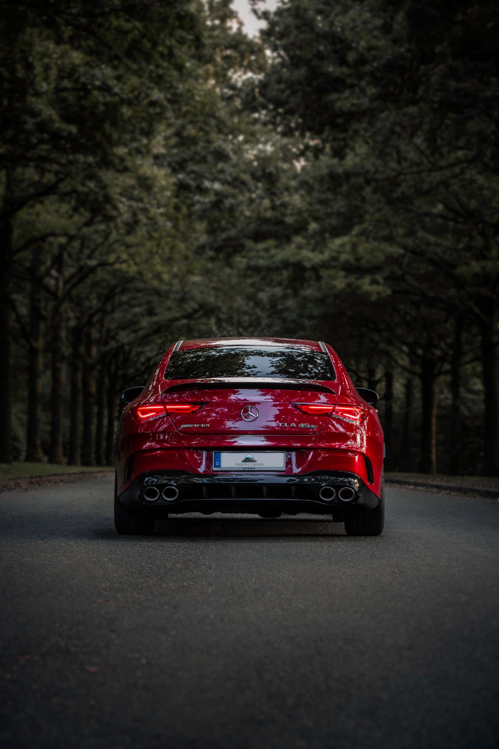 IMG_6781-Edit